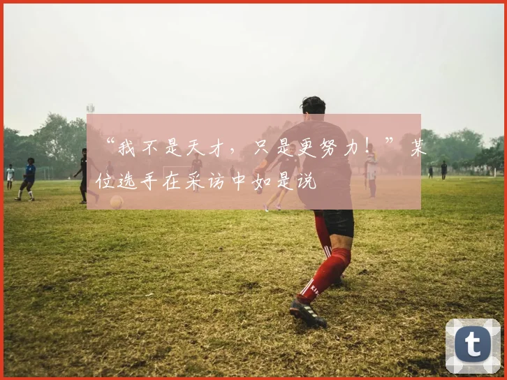 “我不是天才,只是更努力!”某位选手在采访中如是说
